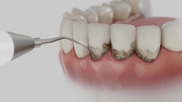Reliable Dental contractor in Beach Haven, NJ by Dentist Open Now